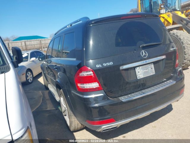 2010 MERCEDES-BENZ GL 550 4JGBF8GE0AA569509 Photo 2