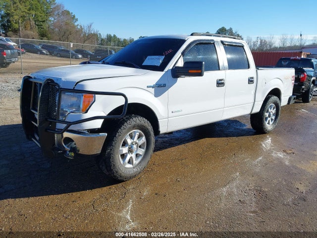 1FTFW1ET3EKG29555 Ford F-150 Xlt