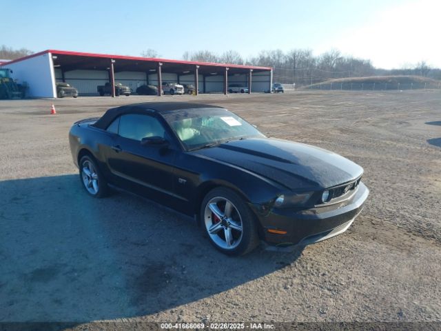 2010 FORD MUSTANG 1ZVBP8FH6A5118510