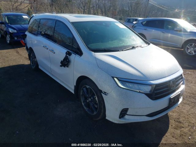 2024 HONDA ODYSSEY 5FNRL6H90RB028139