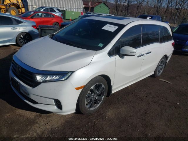 2024 HONDA ODYSSEY 5FNRL6H90RB028139 Photo 1