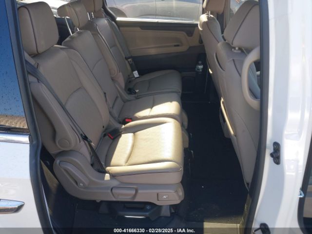2024 HONDA ODYSSEY 5FNRL6H90RB028139 Photo 7