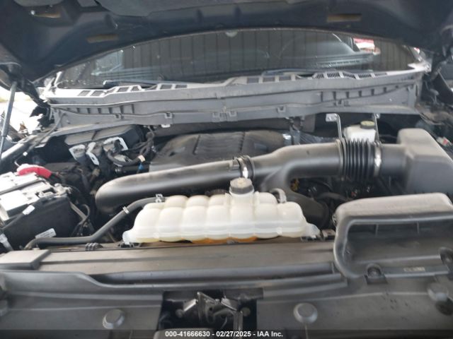 1FTEW1E80MFD01797 Ford F-150 Tremor