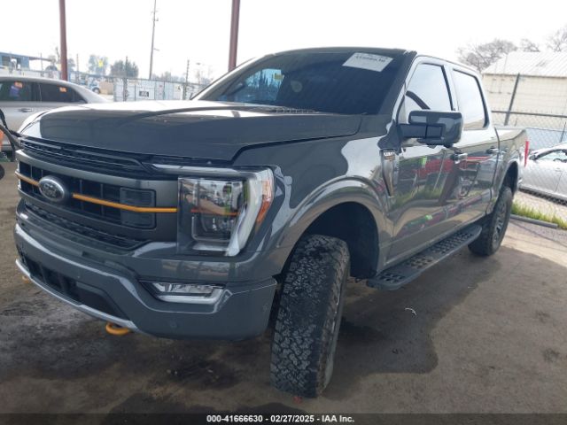 1FTEW1E80MFD01797 Ford F-150 Tremor
