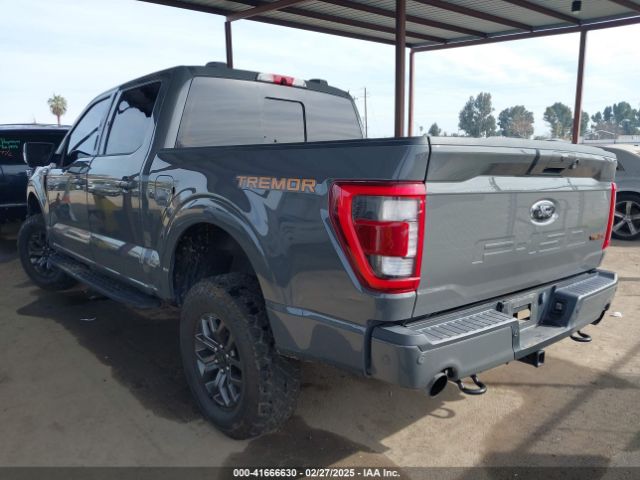 1FTEW1E80MFD01797 Ford F-150 Tremor