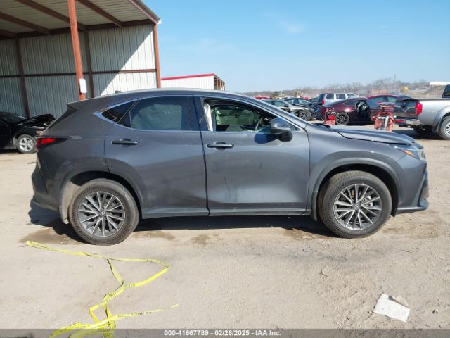 2T2GKCEZ4RC023717 Lexus Nx 350h Premium