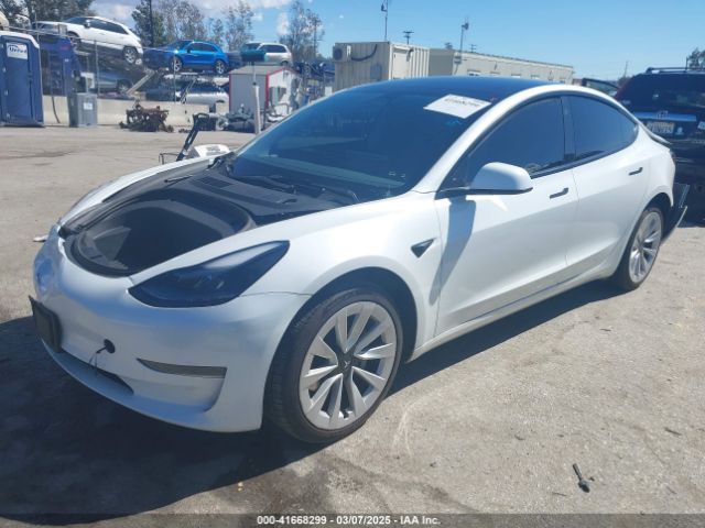 2023 TESLA MODEL 3 5YJ3E1EA3PF451392 Photo 1