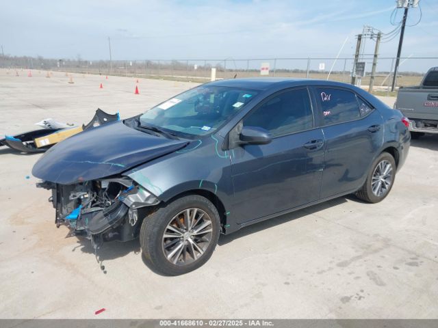 5YFBURHE0GP367563 Toyota Corolla Le Plus