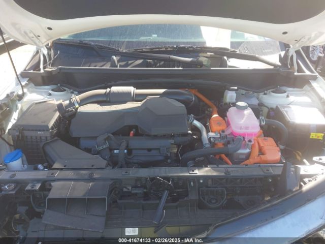 KNDPXCDG2R7165684 KIA Sportage Hybrid Sx-prestige