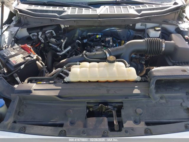 1FTEW1CP2MFA09742 Ford F-150 Xl