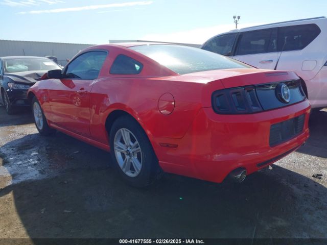 1ZVBP8AM3E5311367 Ford Mustang V6