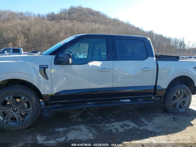 1FTFW1E57PKE92608 Ford F-150 Xlt