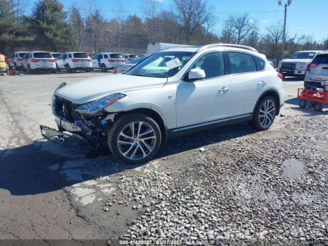 JN1BJ0RRXHM403160 Infiniti QX50