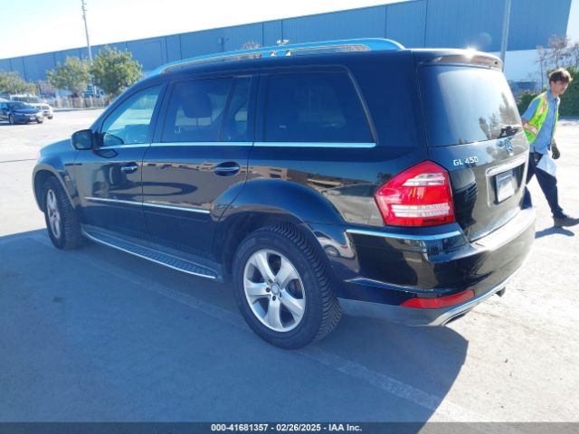 2010 MERCEDES-BENZ GL 450 4JGBF7BE3AA615237 Photo 2