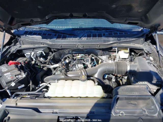 1FTEW3LP9RKE80233 Ford F-150 Xlt