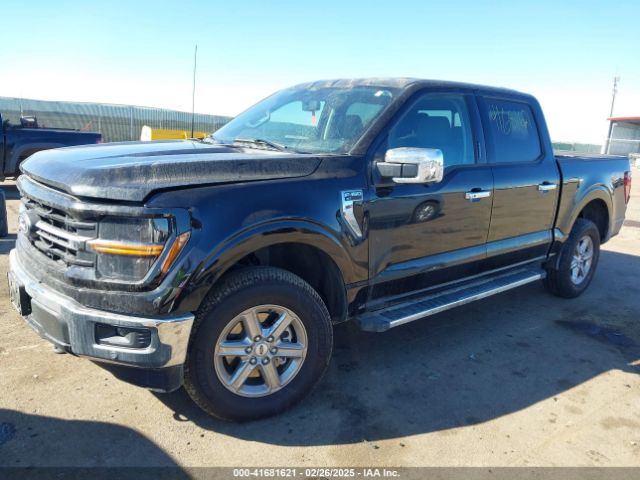 1FTEW3LP9RKE80233 Ford F-150 Xlt