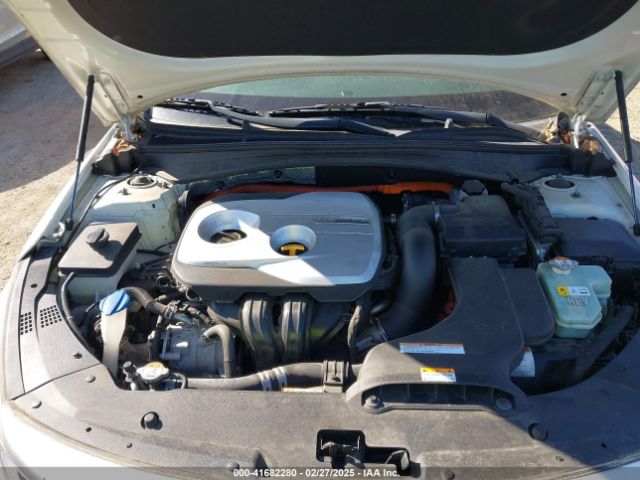 KNAGT4LE9H5012924 KIA 2017