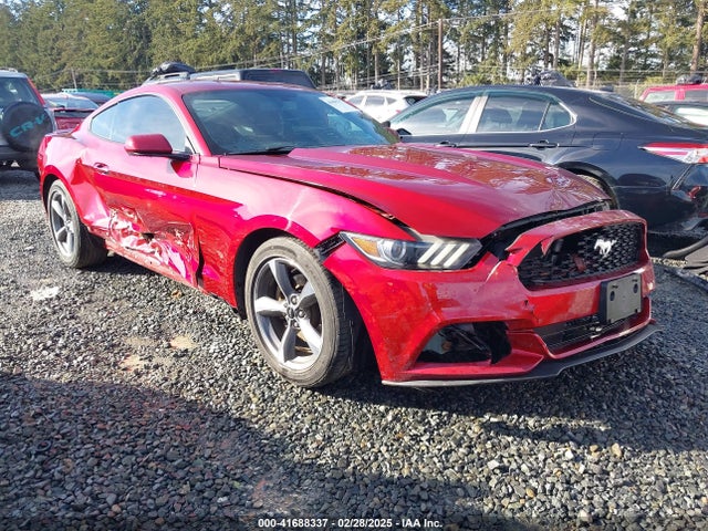 2015 1FA6P8AM6F5339577 main image