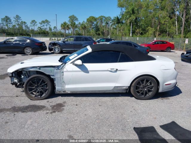 1FATP8UHXK5205196 Ford Mustang Ecoboost