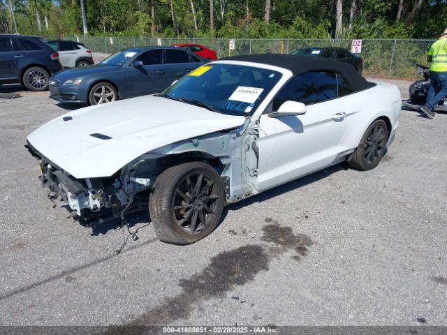1FATP8UHXK5205196 Ford Mustang Ecoboost