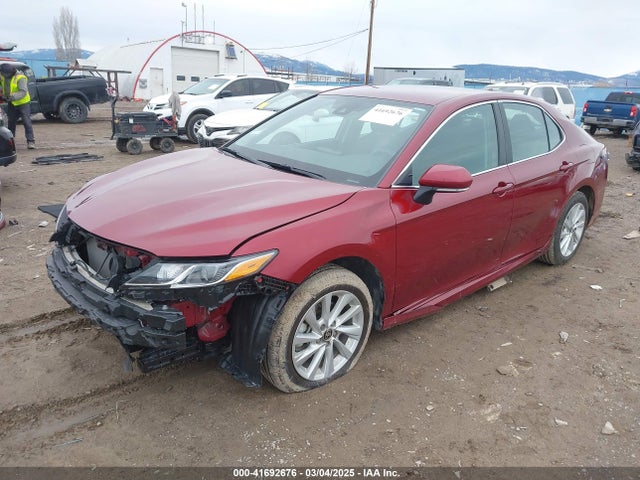 4T1C11BK4MU036072 Toyota Camry Le Awd