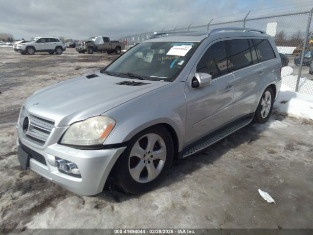 2010 MERCEDES-BENZ GL 450 4JGBF7BB9AA532739 Photo 1
