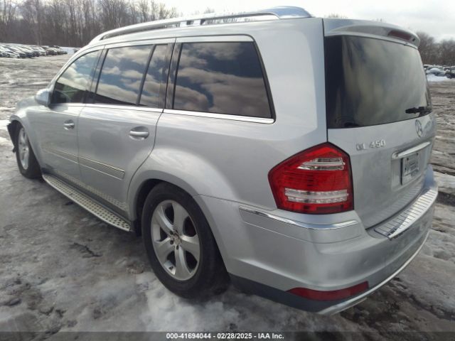 2010 MERCEDES-BENZ GL 450 4JGBF7BB9AA532739 Photo 2