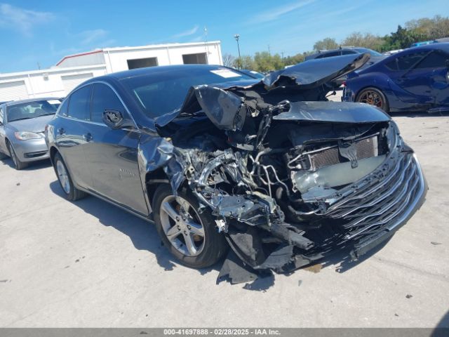 2019 CHEVROLET MALIBU 1G1ZB5ST8KF201417