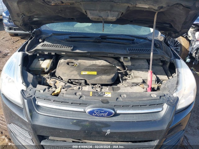 Ford ESCAPE SE 2014 1FMCU0GX6EUC91443 Image 10