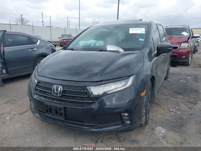 Honda Odyssey Sport 2024 5FNRL6H75RB056176 Image 2