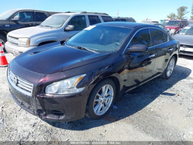 1N4AA5AP7EC479331 Nissan Maxima 3.5 S/3.5 Sv
