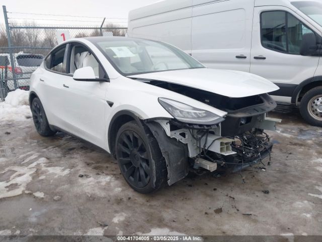 2021 TESLA MODEL Y 5YJYGDEE5MF112262