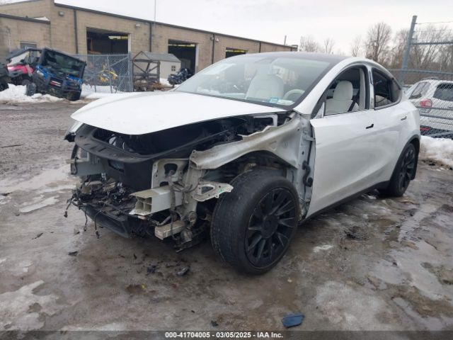 2021 TESLA MODEL Y 5YJYGDEE5MF112262 Photo 1