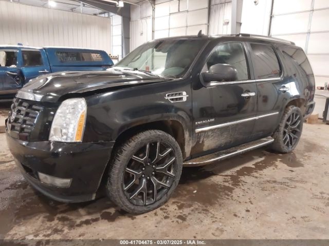 2011 CADILLAC ESCALADE 1GYS4BEF4BR135884 Photo 1