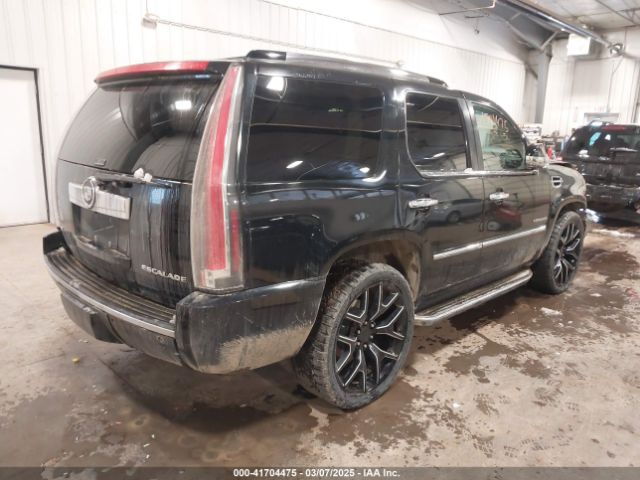 2011 CADILLAC ESCALADE 1GYS4BEF4BR135884 Photo 3