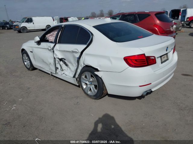 2013 BMW 528I WBAXG5C56DD235013 Photo 2
