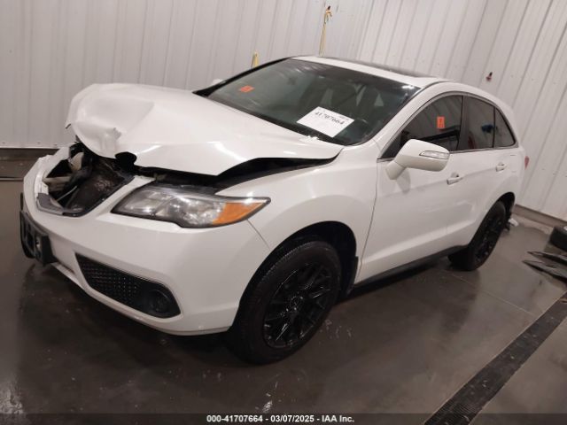 2013 ACURA RDX 5J8TB4H33DL013456 Photo 1