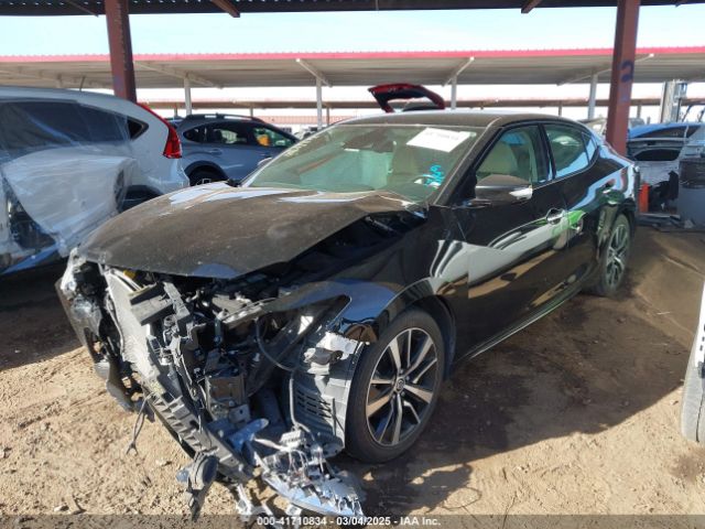 1N4AA6CV7MC503739 Nissan Maxima Sv Xtronic Cvt