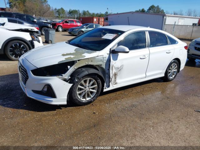 5NPE24AF5KH738070 Hyundai SONATA SE