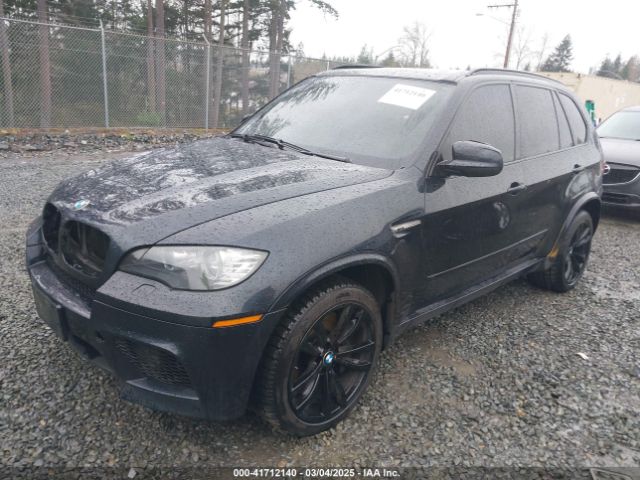 2010 BMW X5 M 5YMGY0C59ALK25572 Photo 1