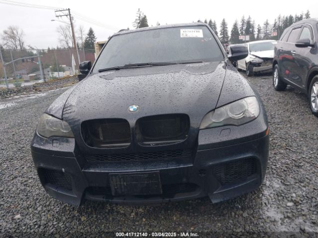 2010 BMW X5 M 5YMGY0C59ALK25572 Photo 5