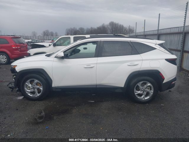 5NMJB3AE3PH238140 Hyundai TUCSON SEL