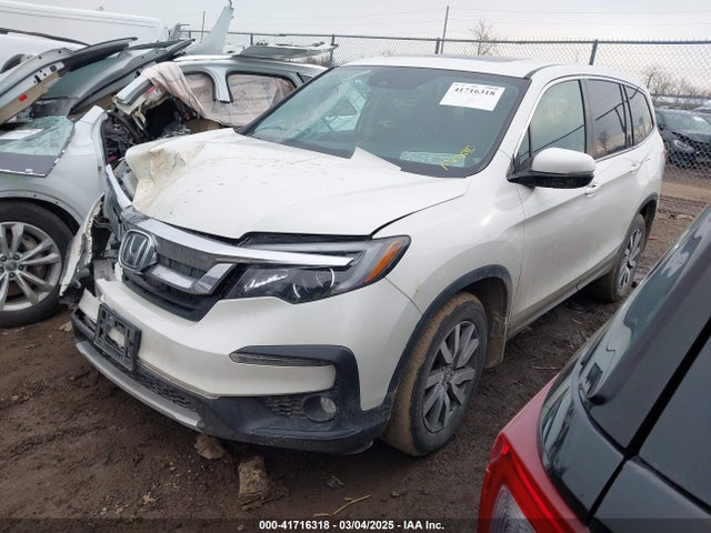 5FNYF6H59KB032437 Honda Pilot Ex-l