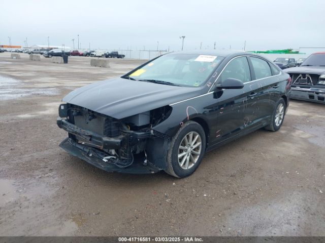 5NPE24AF7JH646215 Hyundai SONATA SE