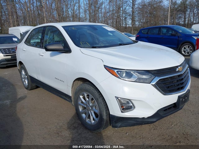 Chevrolet EQUINOX LS 2019 2GNAXSEV0K6147310 Image 6