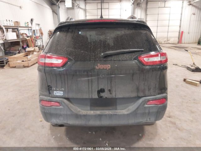 1C4PJMCB2GW317530 Jeep Cherokee 75th Anniversary