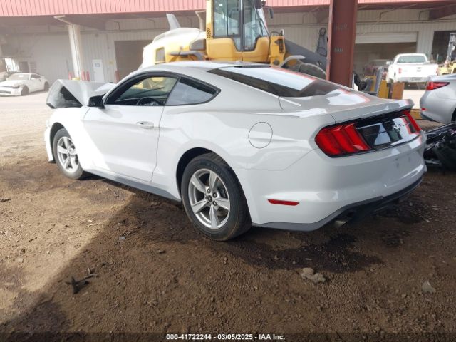 1FA6P8THXL5101114 Ford Mustang Ecoboost Fastback