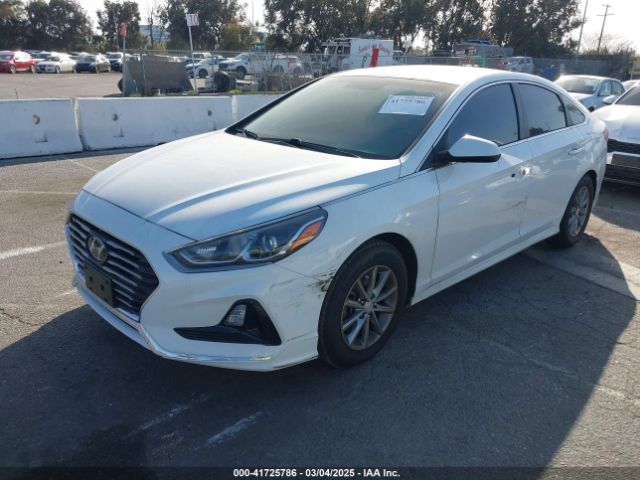 5NPE24AF9JH705961 Hyundai SONATA SE