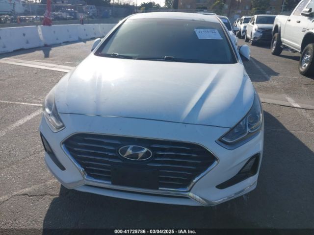 5NPE24AF9JH705961 Hyundai SONATA SE