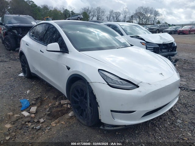 2021 TESLA MODEL Y 5YJYGDEE3MF087054 Photo 0